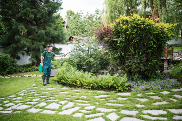 Best Ant Control Services  in West Baraboo, WI