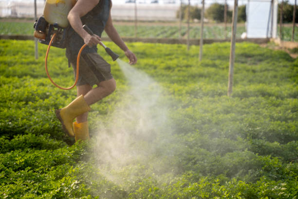 Best Residential Pest Control  in West Baraboo, WI