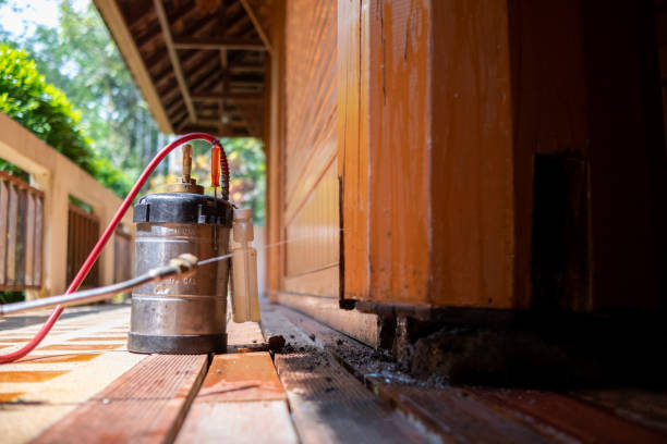 Best Ant Control Services  in West Baraboo, WI