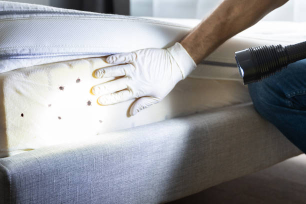 Best Cockroach Control Services  in West Baraboo, WI