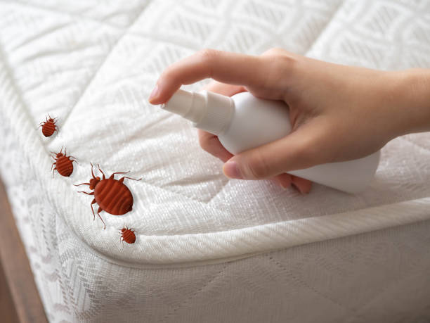 Best Pest Prevention Services  in West Baraboo, WI